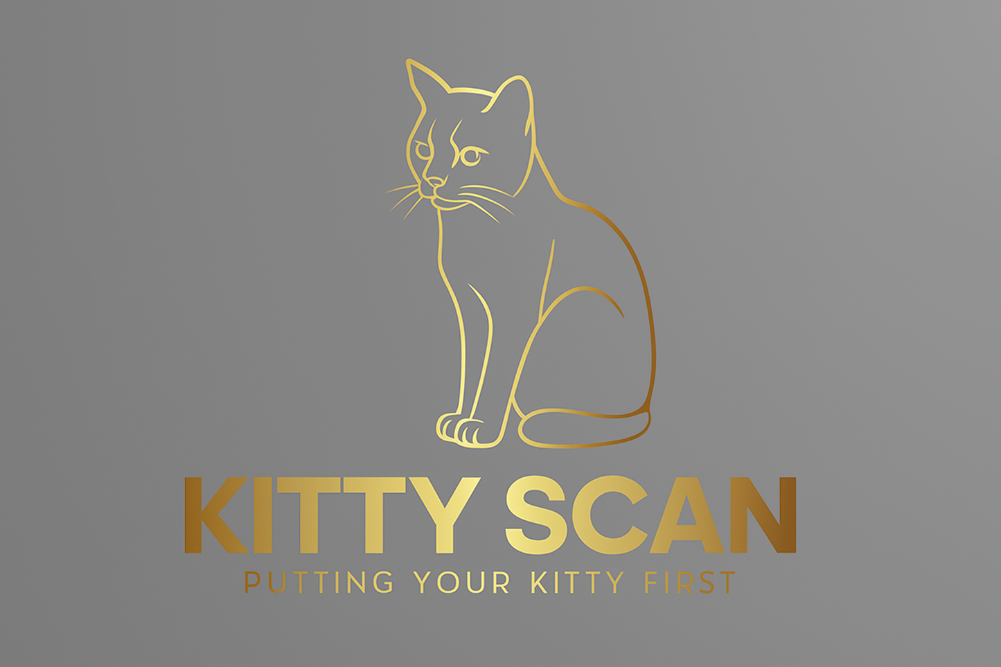 Kitty scan